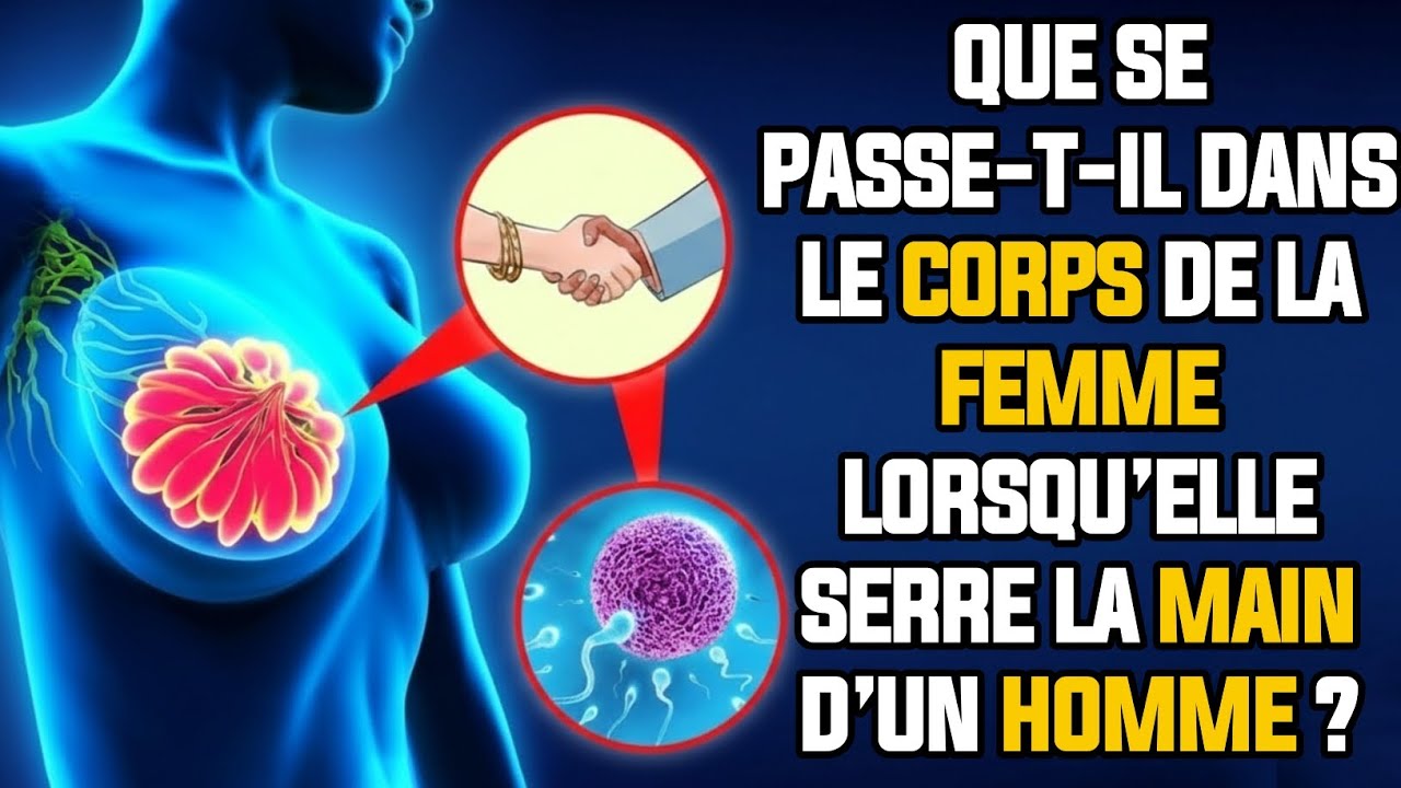 QUE SE PASSE-T-IL LORSQU’UN HOMME SERRE LA MAIN D’UNE FEMME ? 