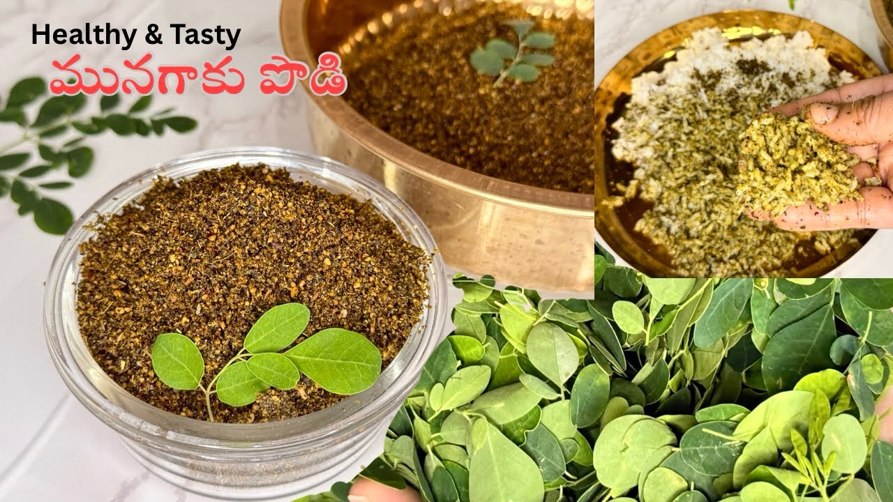 ప్రతి రోజు తినాల్సిన ఆరోగ్యకరమైన మునగాకు కారం పొడి😋Drumstick Leaves Podi | Moringa Leaves karam Podi
