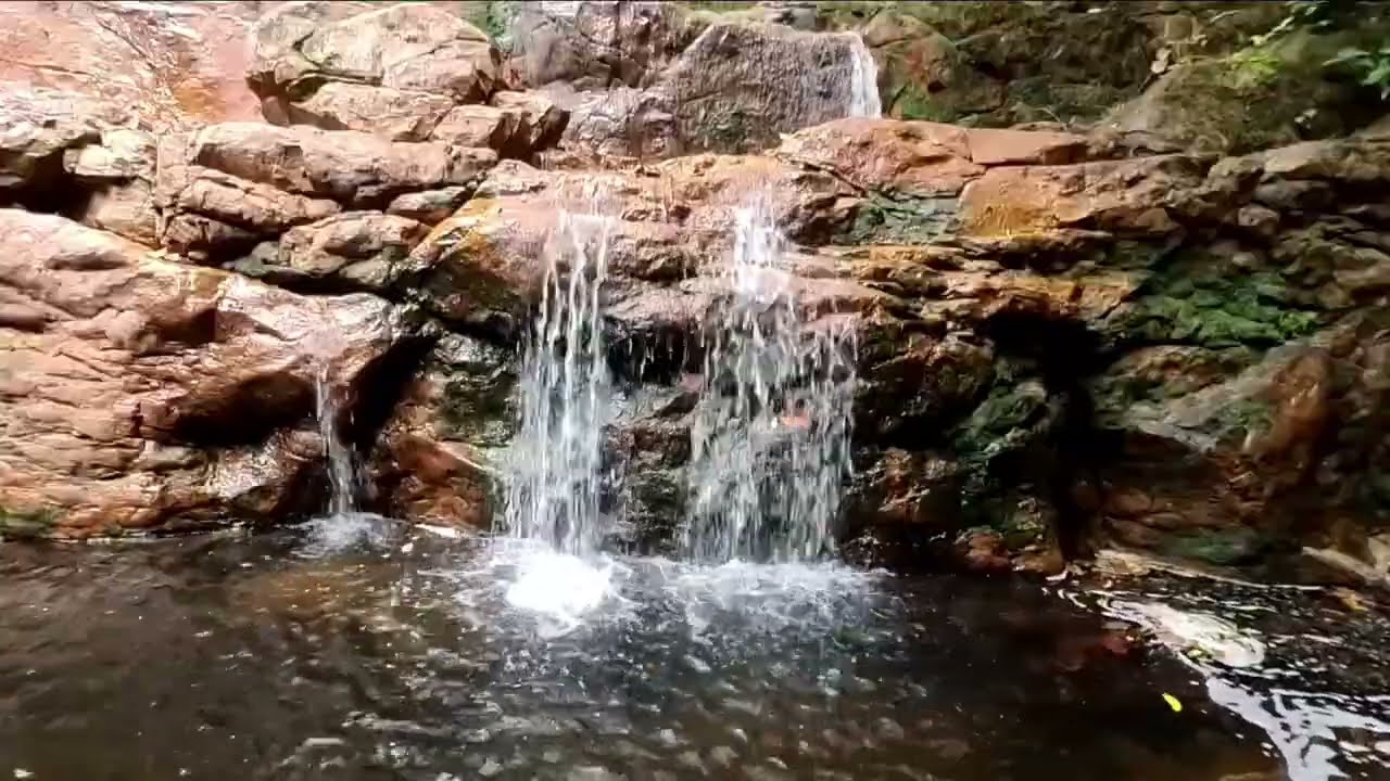 Peaceful Forest Waterfall Sounds for Deep Relaxation | Nature ASMR 