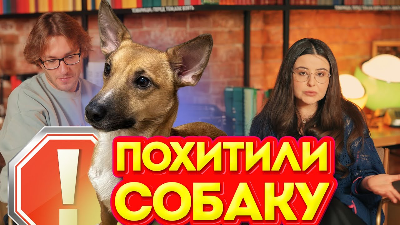 Похищение собаки Аркадия. Вся история Суворова Андрея.
