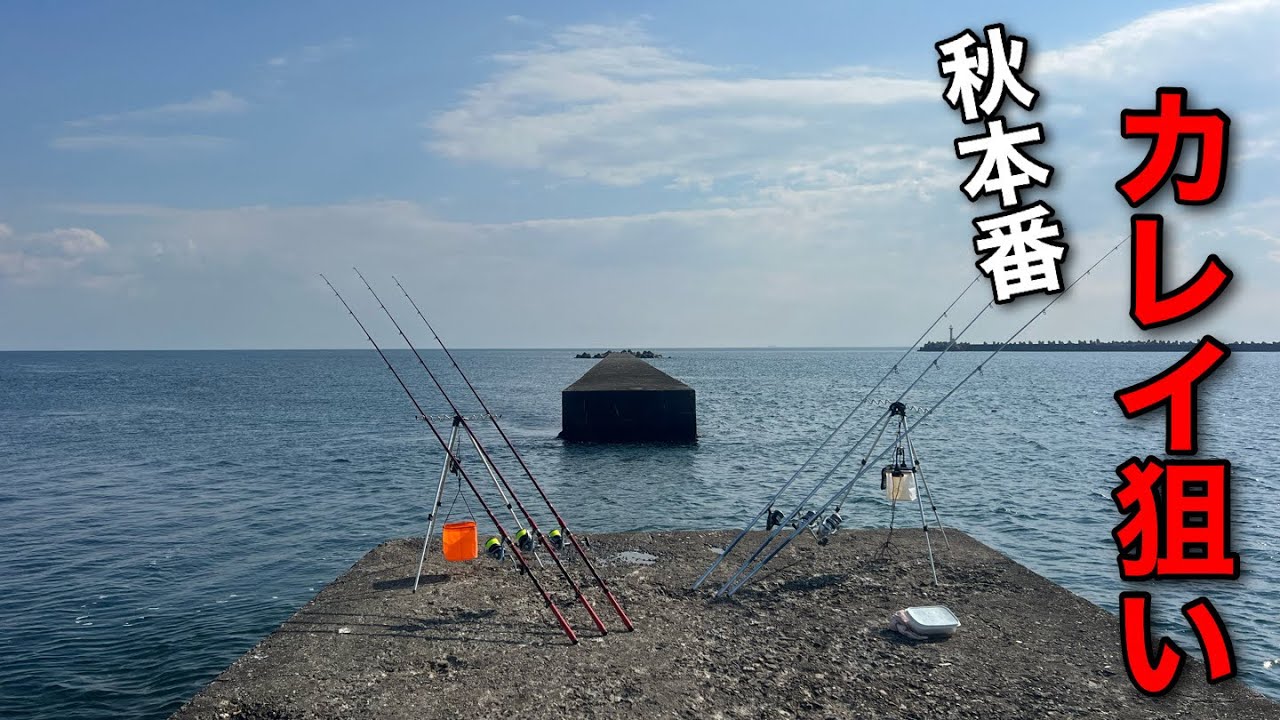 【投げ釣り】秋本番、カレイ狙い…徳島県里浦編