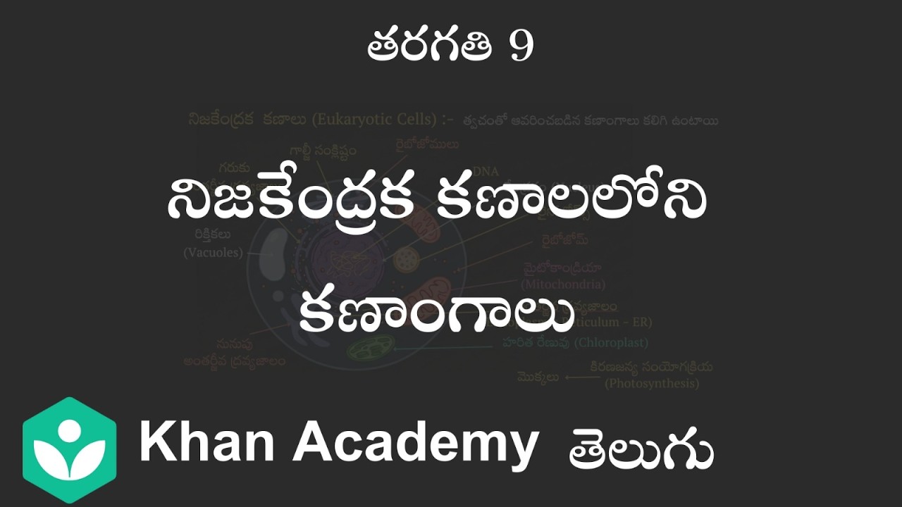Organelles in Eukaryotic Cells [Telugu] | The cell structure and function | Class 9 | Science