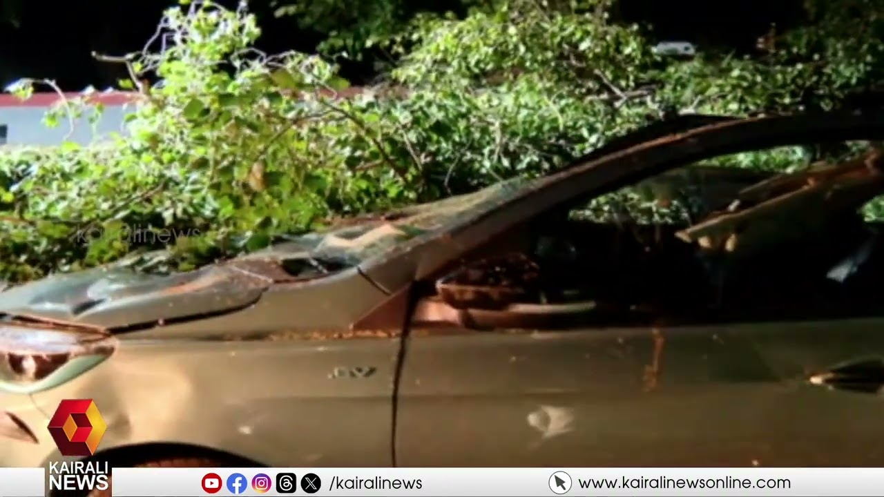 തിരുവനന്തപുരം പാളയത്ത് നിർത്തിയിട്ടിരുന്ന കാറിന് മുകളിൽ മരത്തിൻ്റെചില്ല പൊട്ടിവീണു| PALAYAM