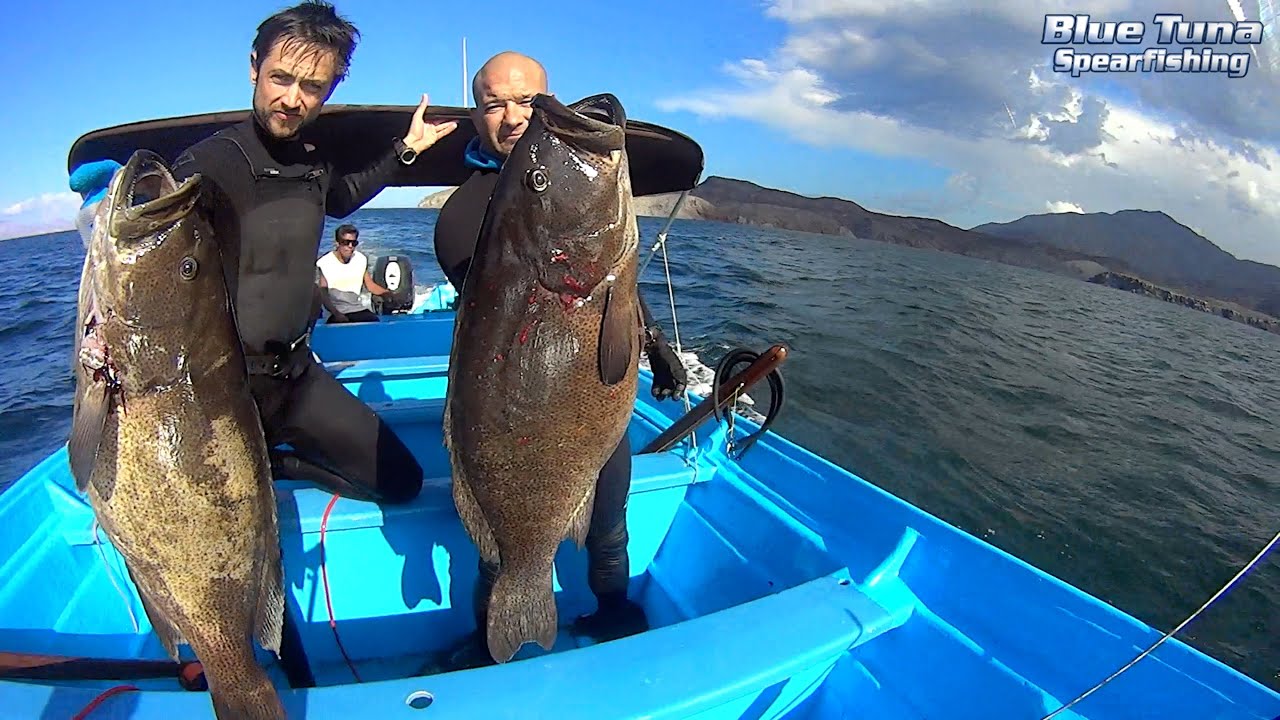 Spearfishing Baja BOLA