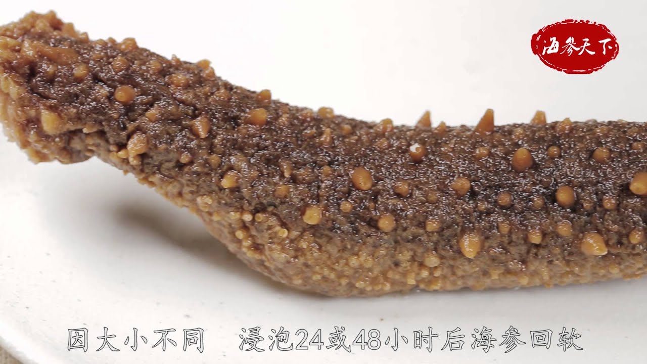海参天下阿拉斯加红参