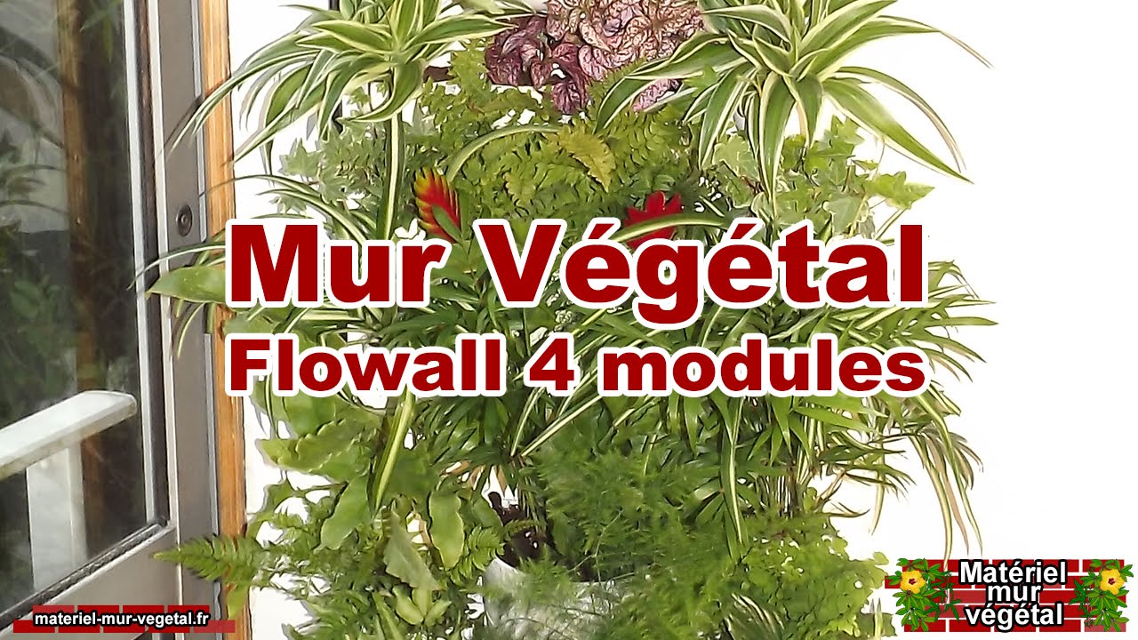 Mur Végétal intérieur 4 Flowall & arrosage automatique [Matériel Mur Végétal®]