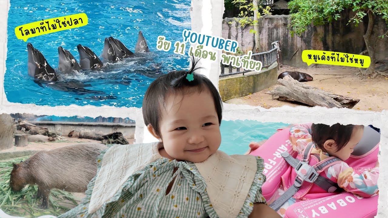 MIDI on the way [EP.1] - พาดูหมูเด้งที่ไม่ใช่หมู โลมาที่ไม่ใช่ปลา ปลานีโมที่ไม่ได้อยู่ในการ์ตูน