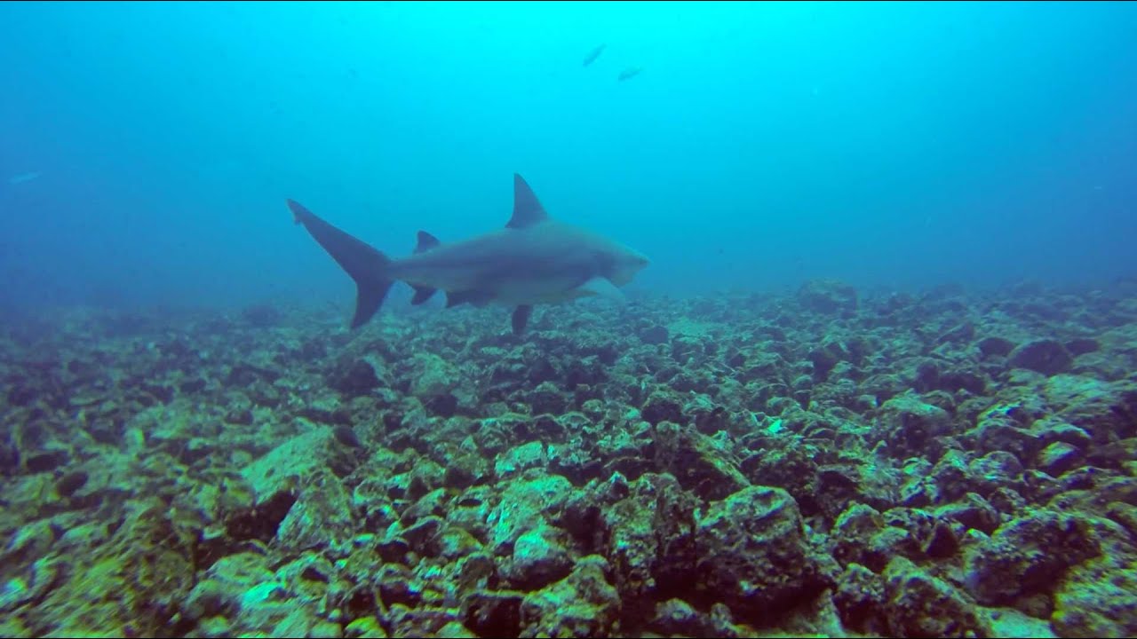 Escape to Guanacaste & Bat Islands