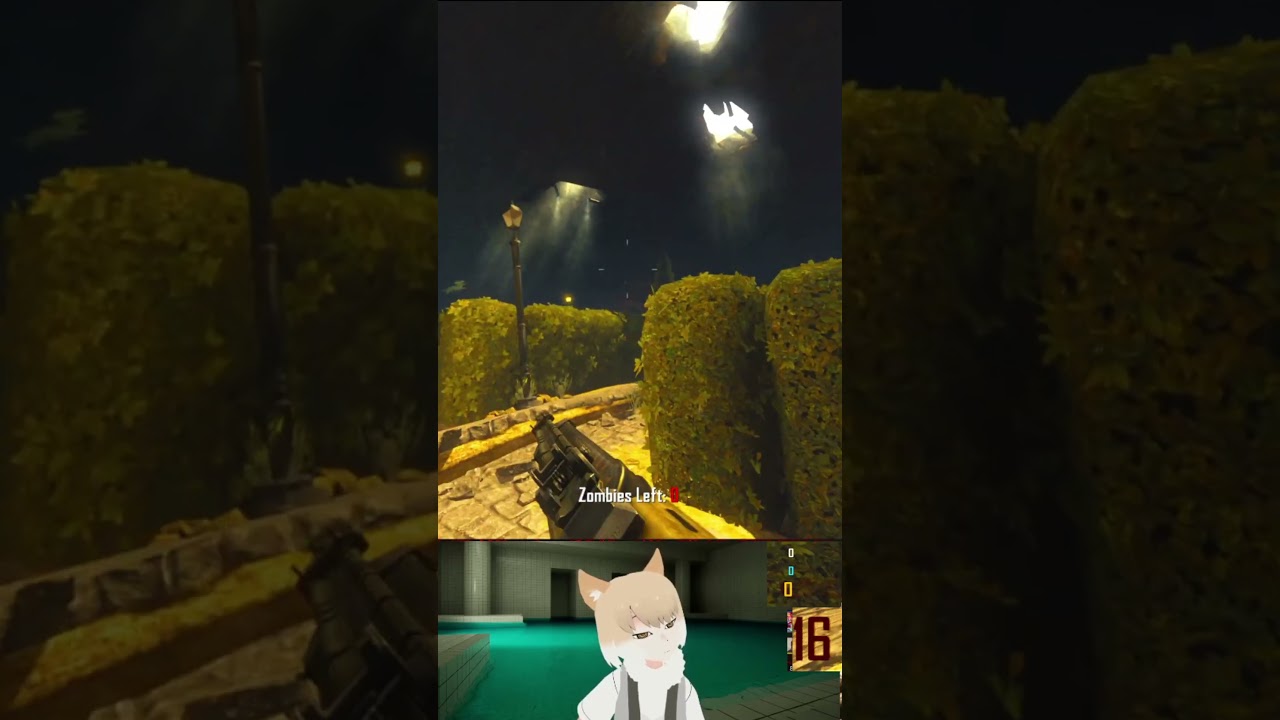 BURIED Call of duty Black Ops 2 | 