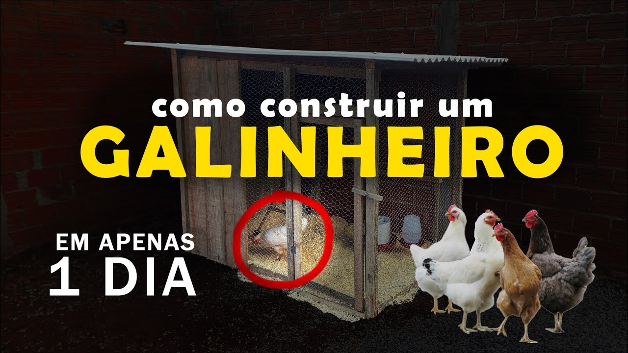 Como construir um GALINHEIRO (passo a passo)