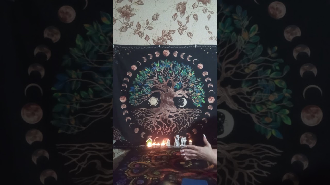 🌟✴️ТАРО ДЛЯ МУЖЧИН. С кем сведет вас судьба в конце января#мысличувствадействия #tarot 🌟✴️