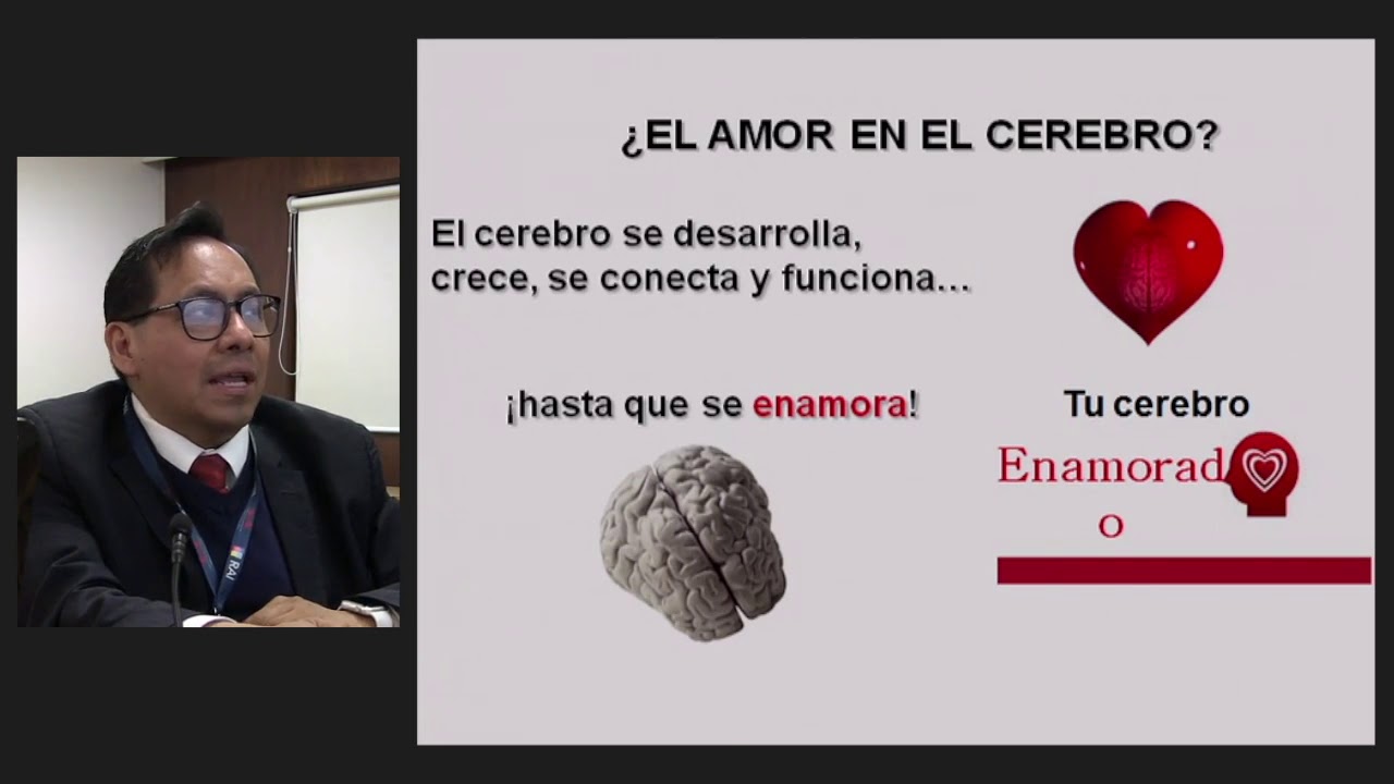 Amor ¿En el cerebro?