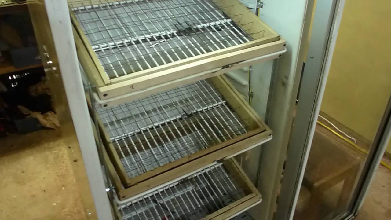 Inkubator automatyczny wylęgarnia do  jaj - 2