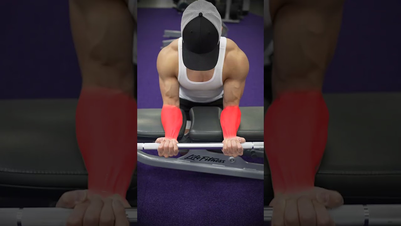 Forearm Exercise Variations (KNOW THE DIFFERENCE!)
