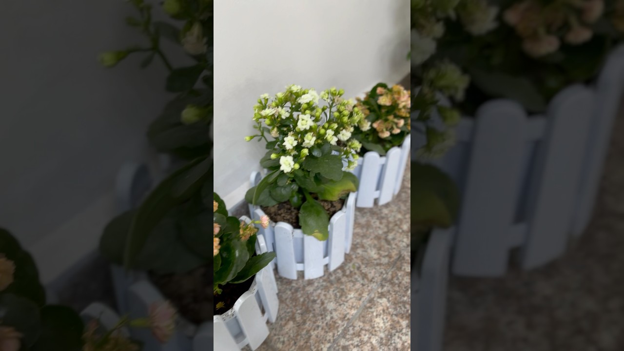 “Fresh Flowers, Fresh Smiles!” 