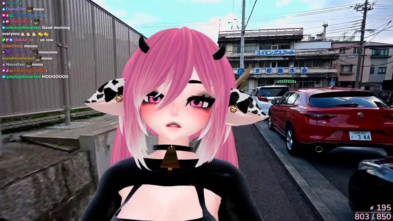 2023.06.29 🔴 WARNING  GAMING COW ALERT  THERE IS A LOOSE PINK COW 🔴 !hellofresh !gamersupps !dotty