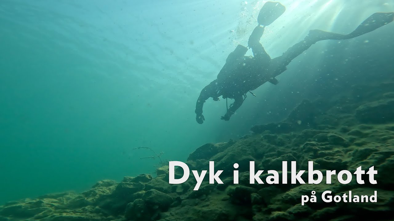 Dyk i kalkbrott på Gotland   4K