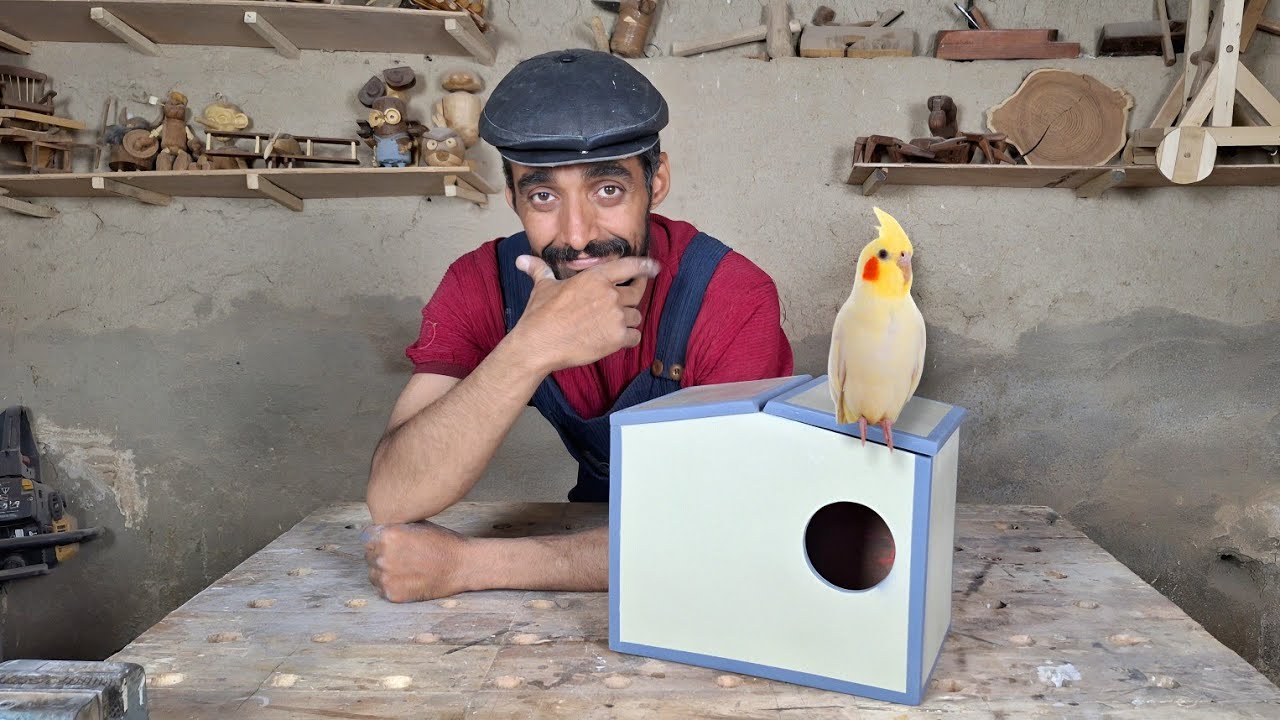 I Built a Birdhouse for My Cockatiel – She Loves It! 🐥💛
