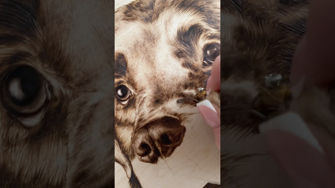 История одного портрета #woodburning #выжигание #art #выжиганиеподереву #собака #пирография