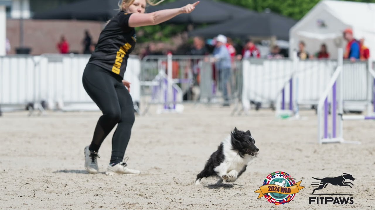World Agility Open (WAO) 2024 – Nadine Alshut & Nuii