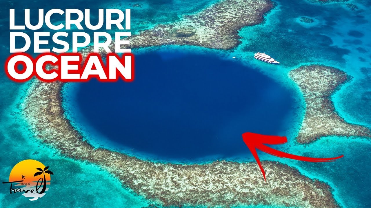 Curiozitati Despre Oceane Care Ar Trebui Sa Te Intereseze