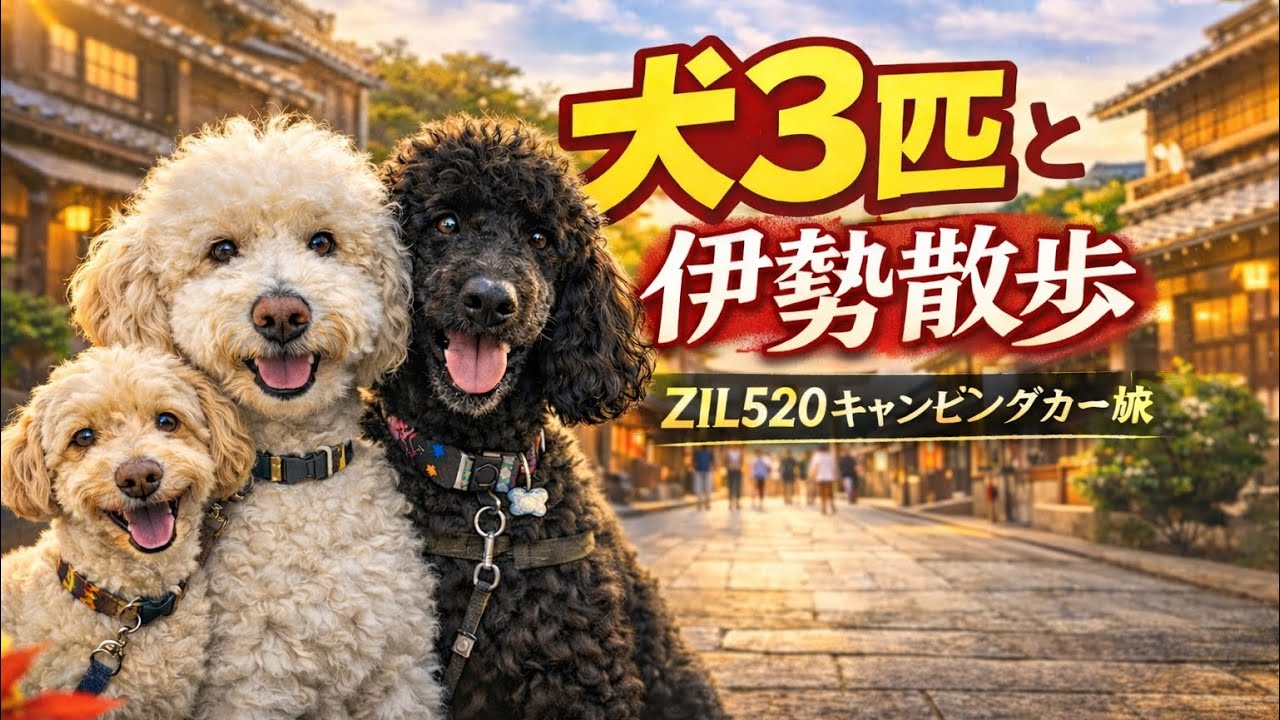 犬３匹と伊勢散歩｜伊勢神宮はまず下宮へ！赤福も食べます