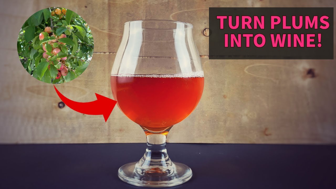 Homemade Plum Wine #shorts