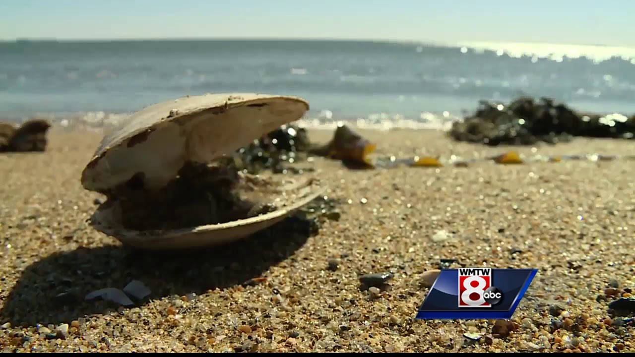 Bottle from 1800's unearthed at Old Orchard Beach