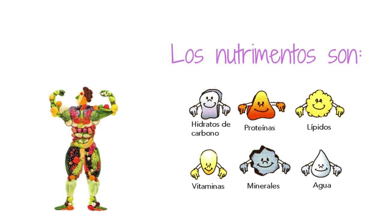 &iquest;Qu&eacute; son los nutrimentos?