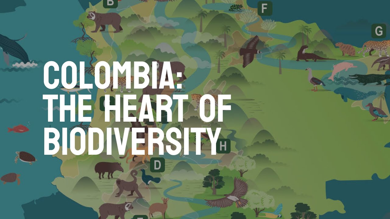 🇨🇴 Why Colombia is the Heart of Biodiversity