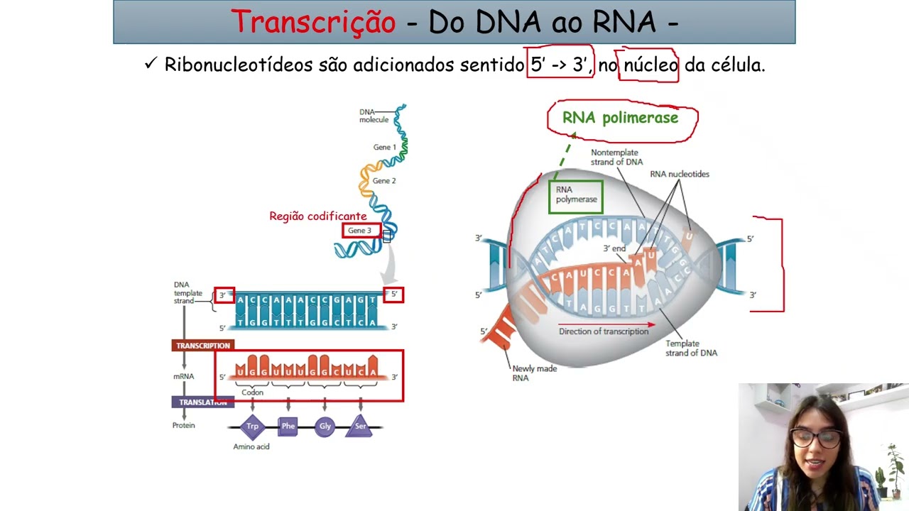 Síntese de Proteínas