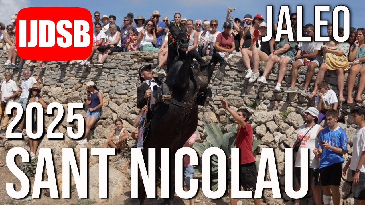 Jaleo 🟡 Dia de Sant Nicolau 2025 ♥️ Es Mercadal - El Toro 🐴 Cavall de raça Menorquina