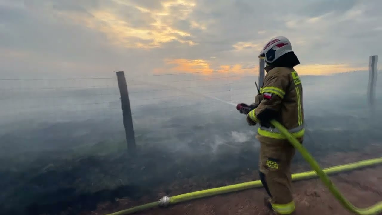 Gaszenie pożaru lasu - Miasteczko Śląskie 21.05.2022