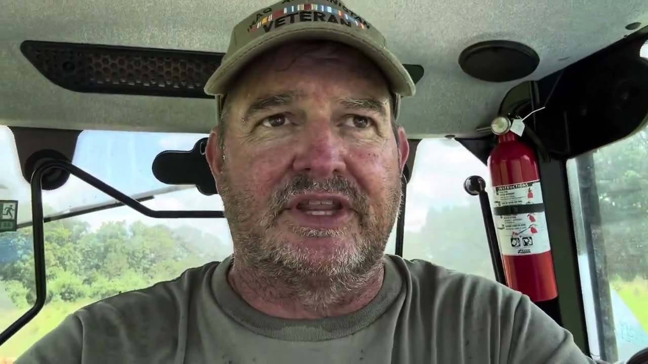 Why I Used a Haybine Instead of a Disc Mower on This New Hayfield | NH 472 + Workmaster 75