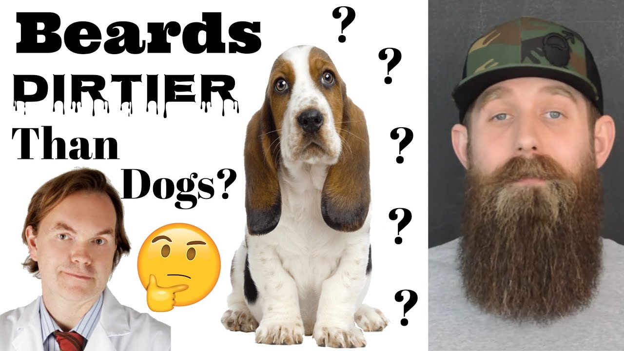 Are BEARDS Dirtier than DOGS?? Explained!