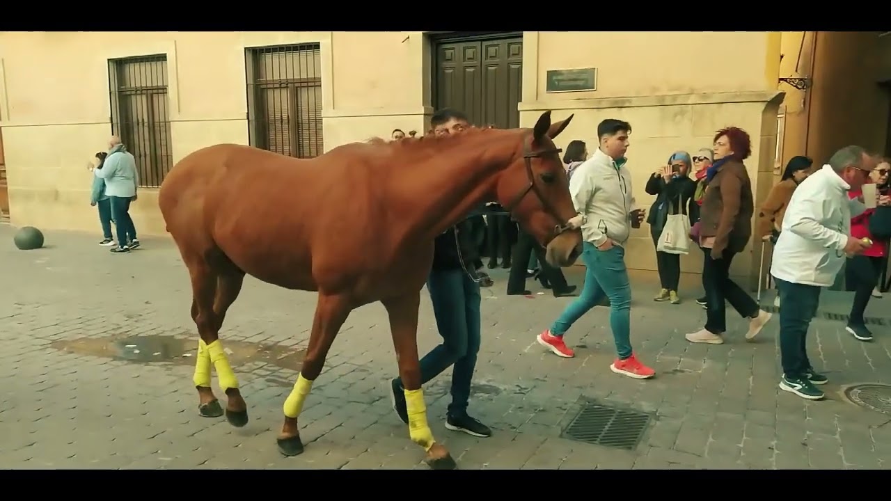 Caballos a Pelo Caravaca de la Cruz 2024