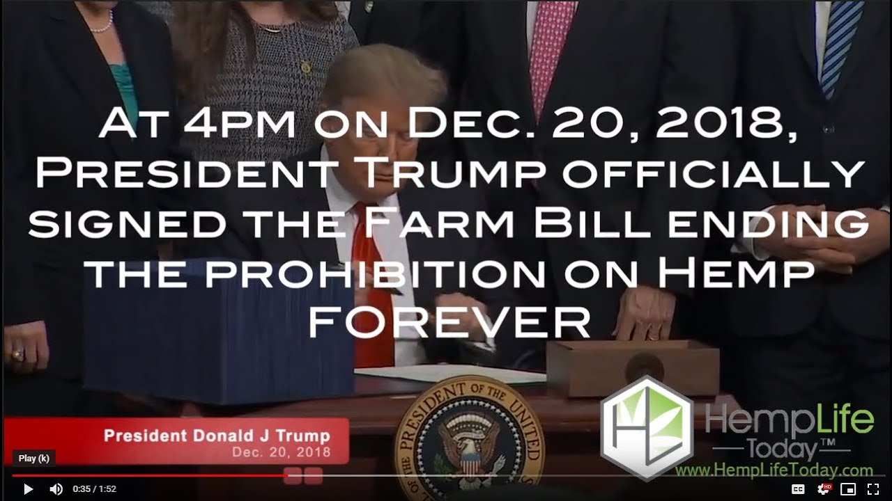 2018 Farm Bill Legalizes Hemp & CBD At The Federal Level - HempLife Today™