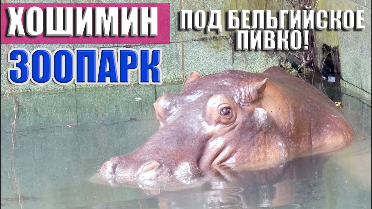 Зоопарк Хошимина, Бельгийский Паб!