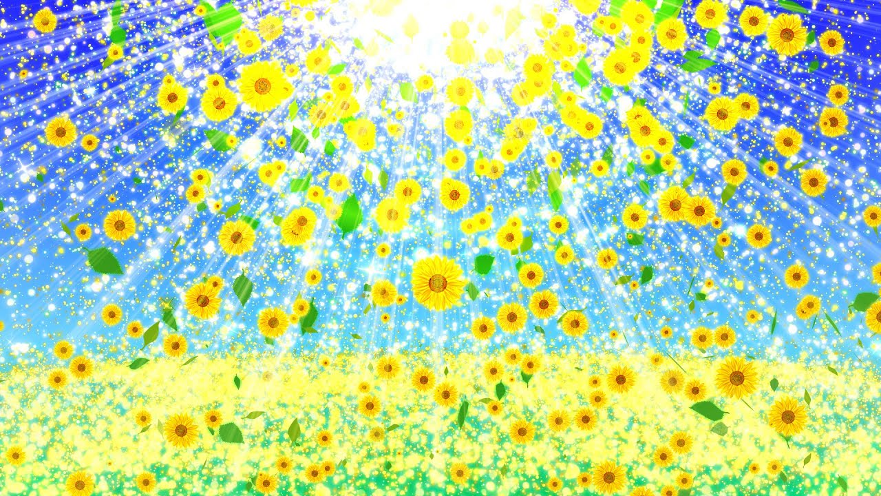 四季【空の光とひまわり-夏】動画編集用の無料（フリー）素材-Free Material-背景用動画素材集｜スポーツやレジャーの動画制作や、学校行事ビデオがおススメ｜きれい系の映像や、爽やかな動画に合う