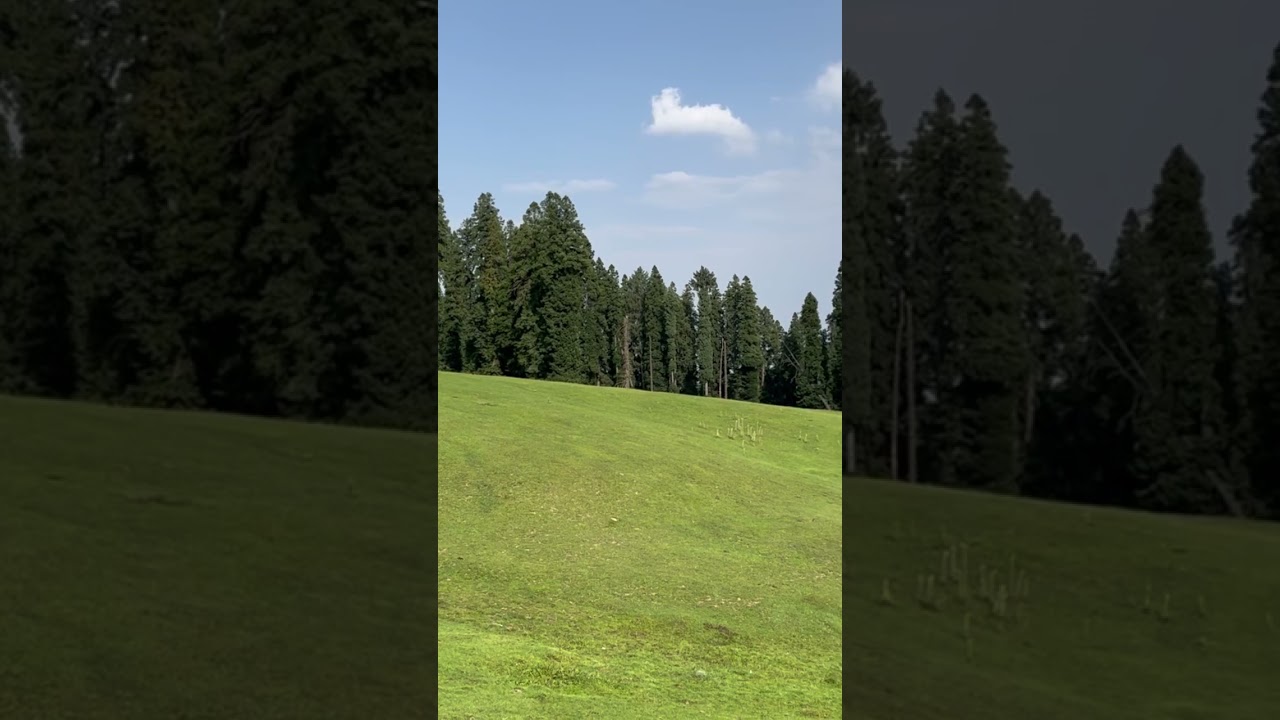 Inside the beautiful Meadow #Kashmir #kashmirparadise #kashmirdairies #mountains #jktourism