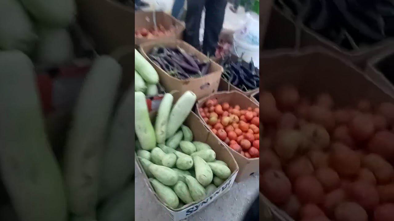 কাতার দুহা পাঠান মাঠের বাংলা বাজার
