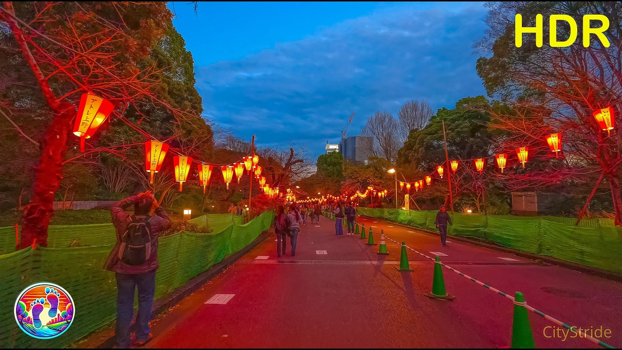 Tokyo Ueno Sakura Matsuri Night Walk 上野桜まつり | Cherry Blossom Festival • 東京 上野公園 • 4K ASMR