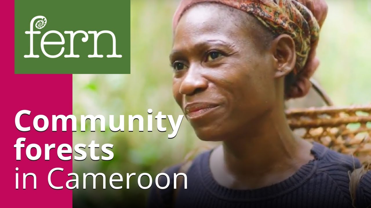 Community forests in Cameroon: what have we learnt so far?