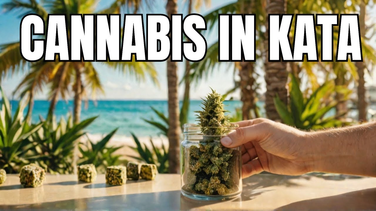 Exploring Cannabis Shops Around Kata Beach | Phuket, Thailand