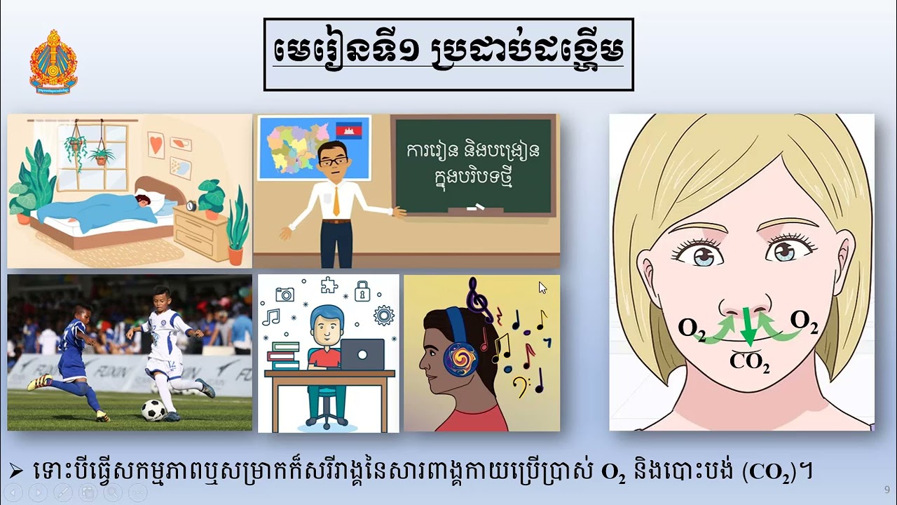 2 K8BIOEP1៖ ជីវវិទ្យាថ្នាក់ទី៨៖ជំពូក៤៖ មេរៀនទី១៖ ប្រដាប់ដង្ហើម លោកគ្រូ សឹម រដ្ឋា