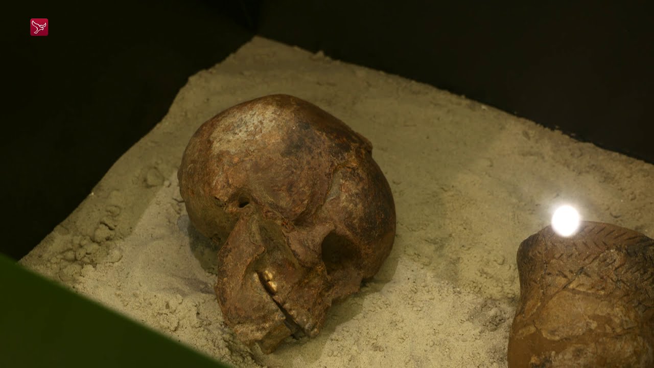 Schokland is 25 jaar Werelderfgoed - Nieuwe natuur