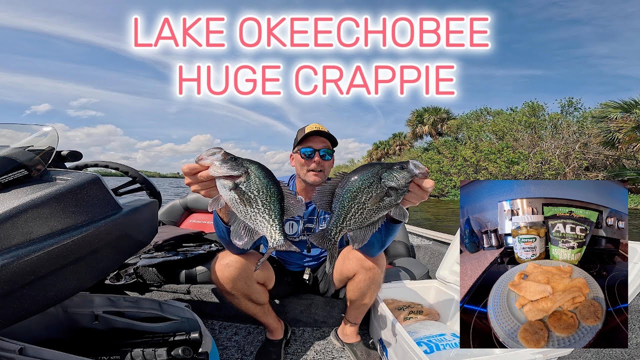 Huge Lake Okeechobee Crappie Catch & Cook. (New ACC Breading)