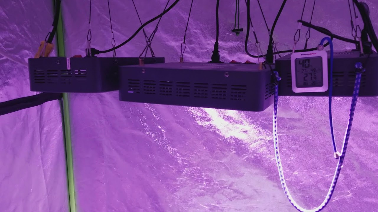 MEDICAL CANNABIS GROW LOG DAY 1 VIPARSPECTRA REFLECTOR SERIES LED