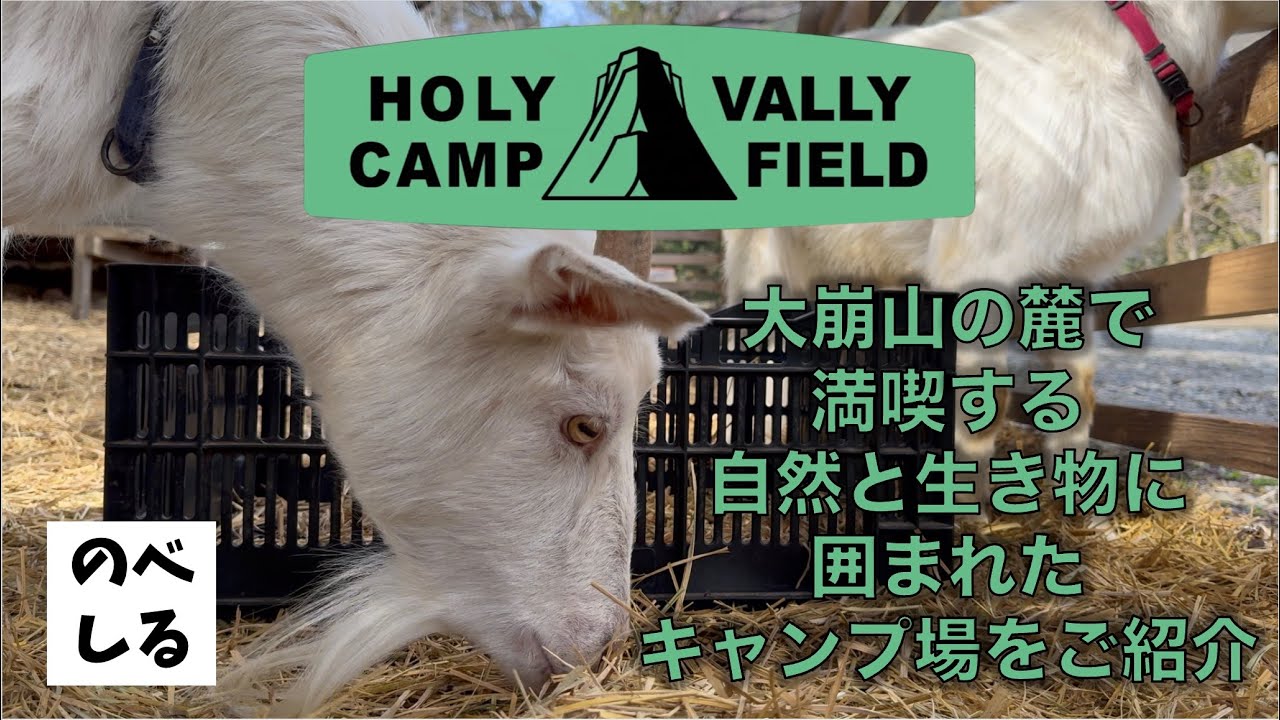 【祝子川キャンプ場】大崩山の麓で自然と生き物に囲まれる贅沢キャンプ！日常と遠く、自然に近い唯一無二のキャンプ場をご紹介！