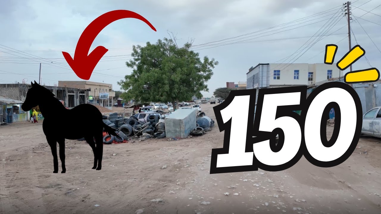 WADADA 150 KA HARGEISA 2024